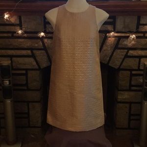 Ann Taylor champagne color dress
